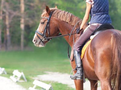 fortunaresort fr experience-a-cheval-chianciano-terme 017